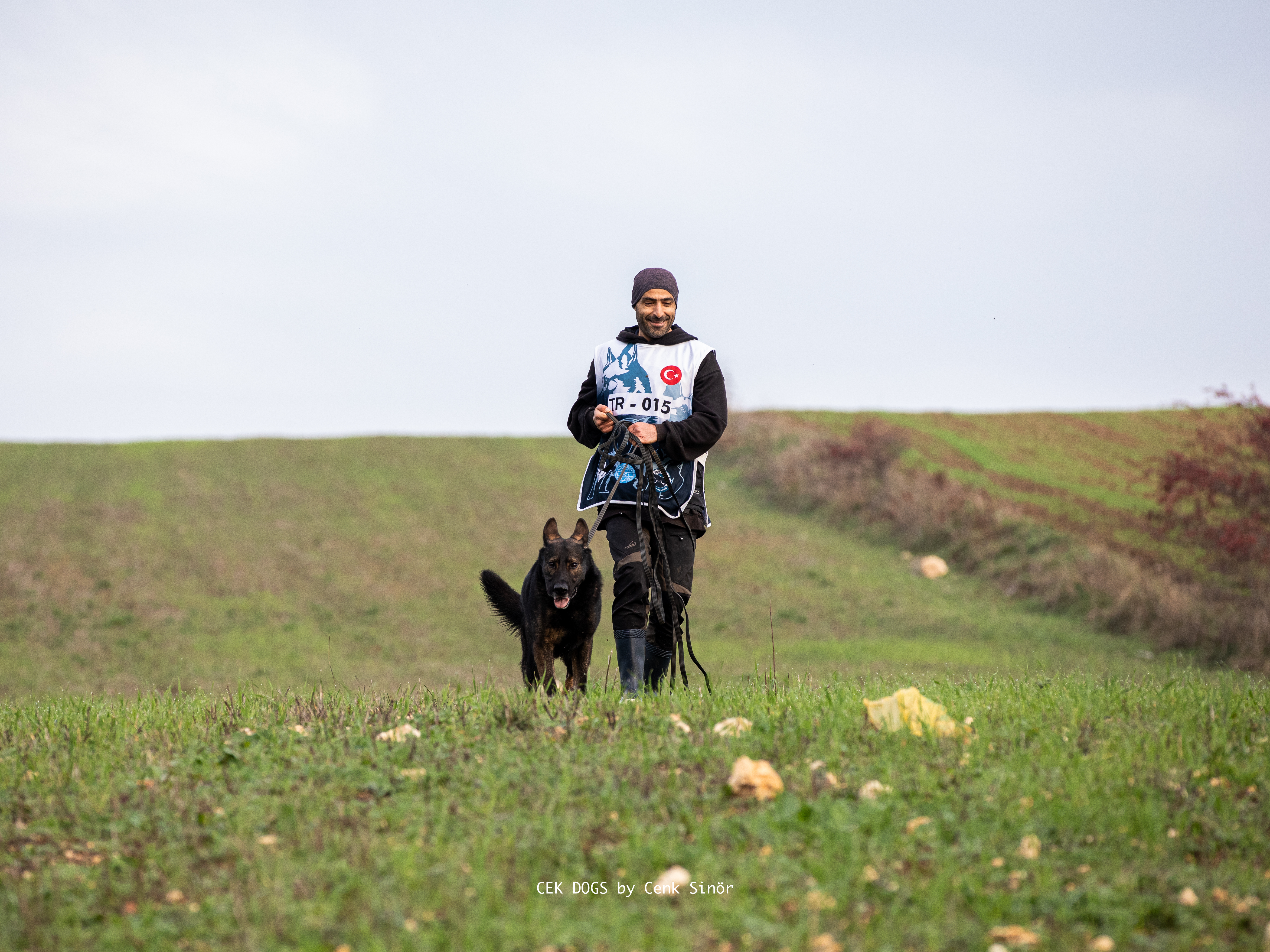 Köpek eğitimi görseli 2